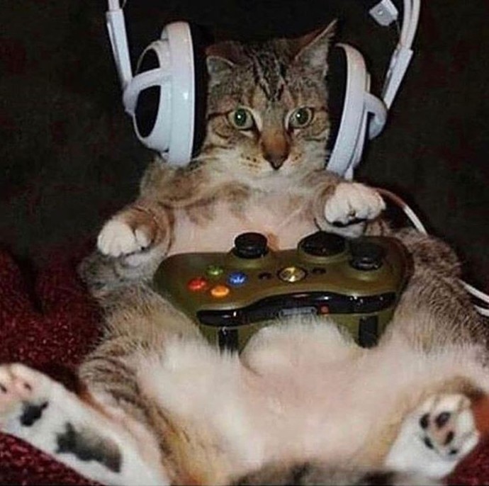 Oyun için en iyi kontrol yöntemi sence nedir? Klavye ve mouse mu, yoksa oyun konsolu mu?
