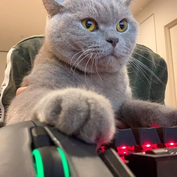 Oyun için en iyi kontrol yöntemi sence nedir? Klavye ve mouse mu, yoksa oyun konsolu mu?
