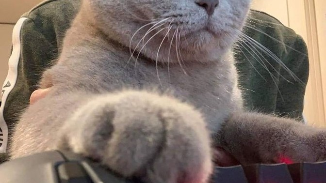 Oyun için en iyi kontrol yöntemi sence nedir? Klavye ve mouse mu, yoksa oyun konsolu mu?