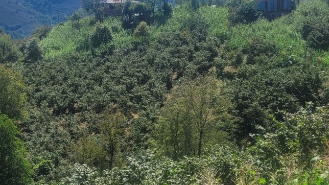 Doğayı sever misiniz?