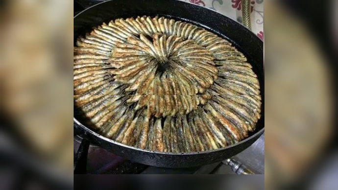 Hamsi