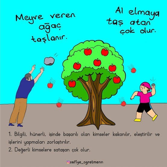 Meyve veren ağaç neden taşlanır?