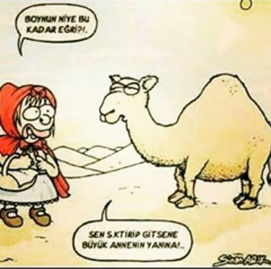 Deveye sormuşlar boynun neden eğri diye o tuttuğun boynum değil demiş ben ikna oldum şahsen ya siz?