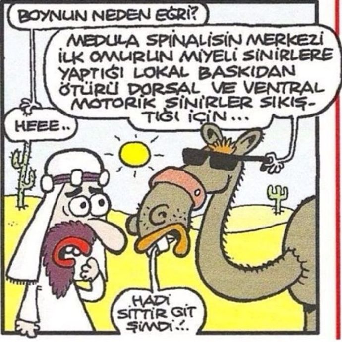 Deveye sormuşlar boynun neden eğri diye o tuttuğun boynum değil demiş ben ikna oldum şahsen ya siz?