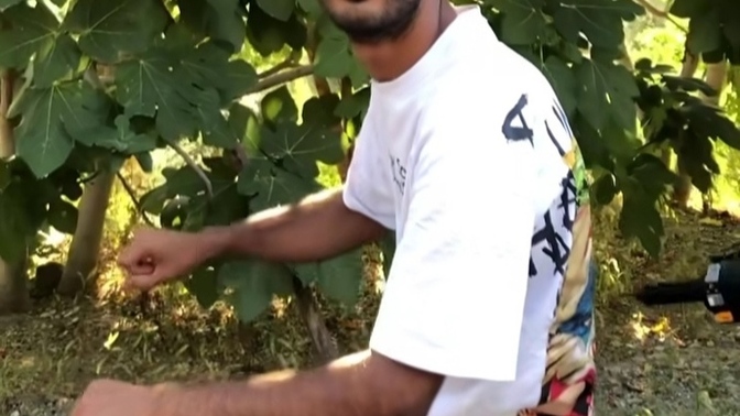 Deveye sormuşlar boynun neden eğri diye o tuttuğun boynum değil demiş ben ikna oldum şahsen ya siz?