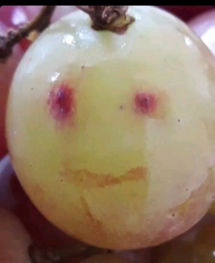 Mesaj almaya meyvelerden devam ediyoruz 🤠