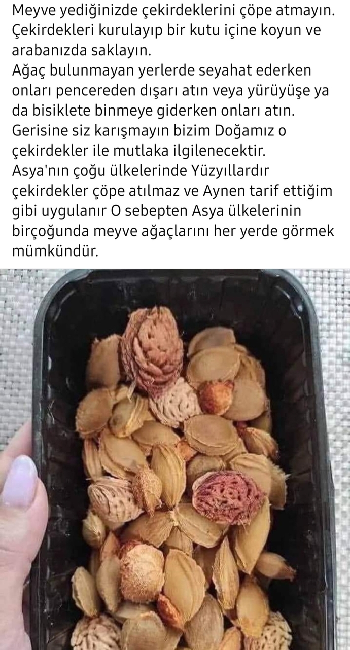 Doğaya katkıda bulunmaya ne dersiniz?