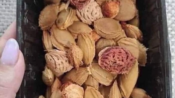 Doğaya katkıda bulunmaya ne dersiniz?