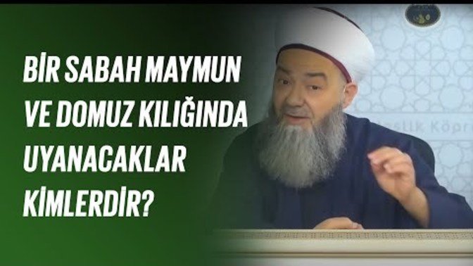 Cübbeli: “Domuz olacaklar. “Eşcinsellerin domuza dönüşeceği doğru mudur?