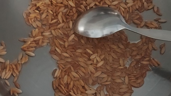 Allahım nedeeen nedennnnn şehriyelerim eşit pişmiyoorr?