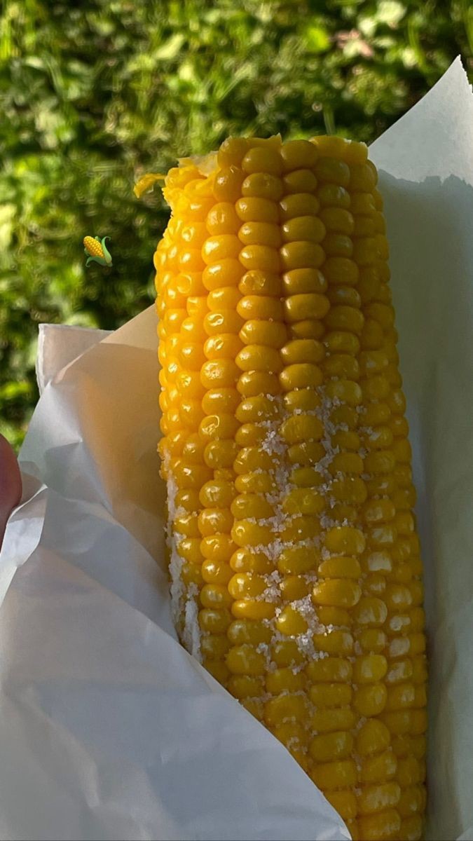 Közde mısır mı seversiniz yoksa haşlama mısır mı?