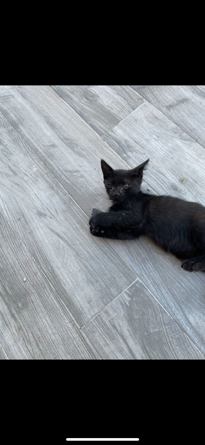 Stresinizi ne alır?