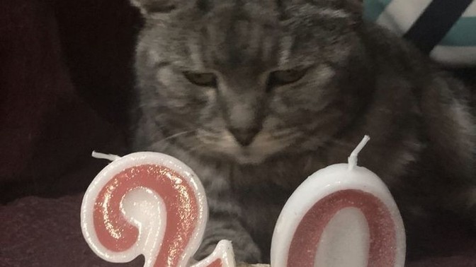 Doğum gününde bir günü baştan sona değiştirme gücün olsaydı, hangi günü değiştirirdin ve neden?