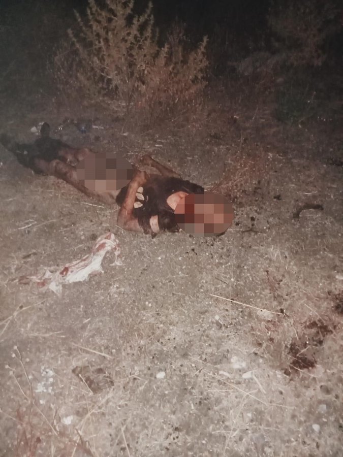 Dün gece İstanbul Fatihte 9 köpeğin saldırısına uğrayıp ölmüş. Ne düşünüyorsunuz?