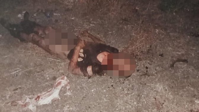 Dün gece İstanbul Fatih'te 9 köpeğin saldırısına uğrayıp ölmüş. Ne düşünüyorsunuz?
