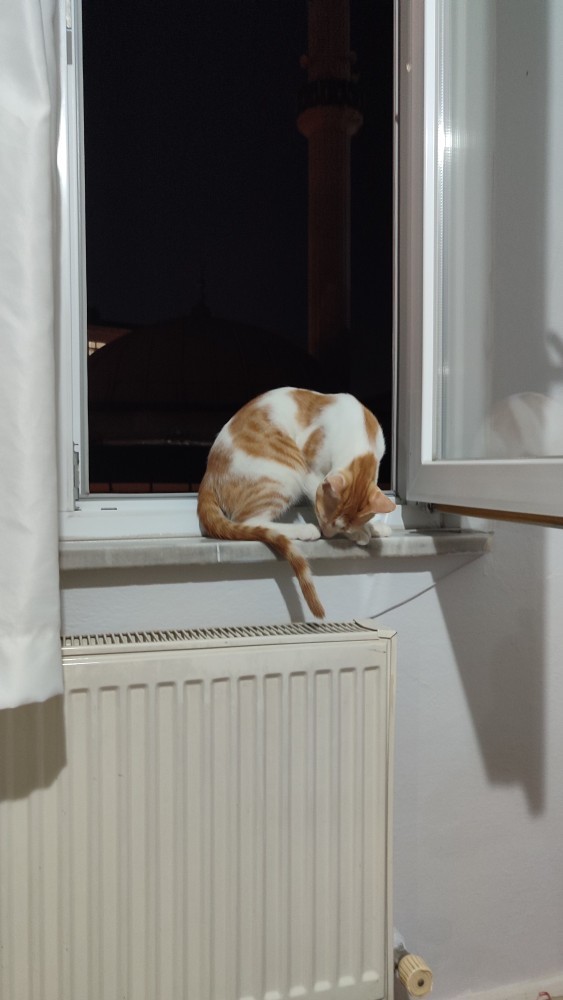 Geceye efkarlı parçalariniz var mı?