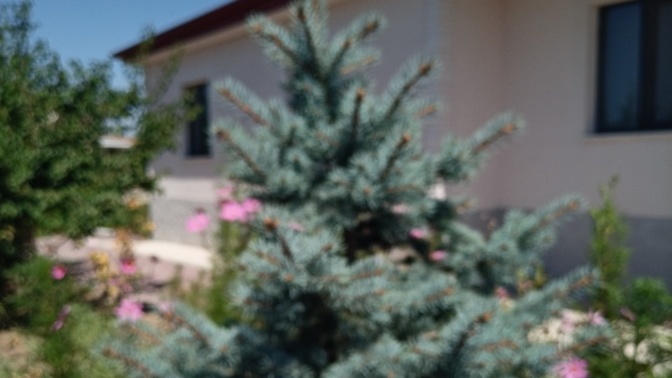 Gelin sütlaç yiyelim dostlar fotograf hikaye için nasıl :)?