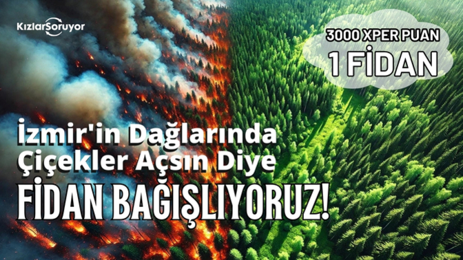 KScanlar, İzmir'in Dağlarında Çiçekler Açsın diye Xper puanlarıyla fidan bağışladı! 🌱 Ormanlarımıza can olduk! İyi ki varsınız! 🌺
