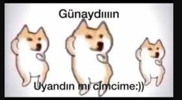 Saçma sorular sorar mısın?