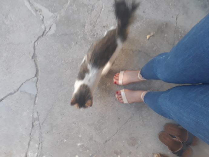 Sevilmek artık lüks haline mi geldi?
