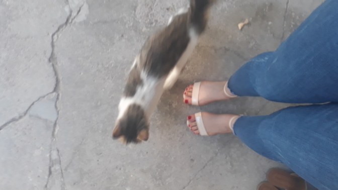 Sevilmek artık lüks haline mi geldi?