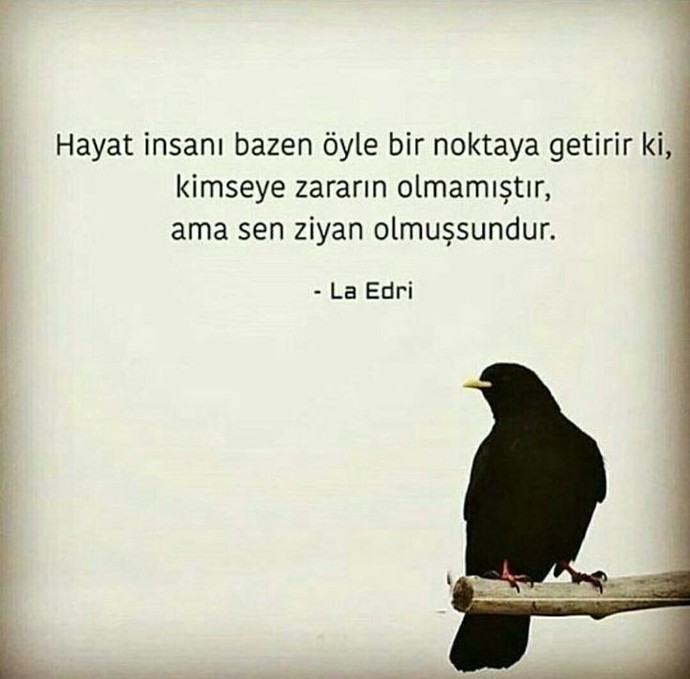Yaşamak ile var olmak arasındaki fark ne?