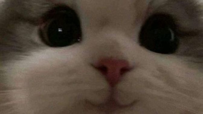 Sevgili KS üyeleri, eğitim hayatınız boyunca aldığınız en düşük notu tahmin edeyim mi?