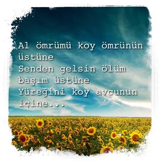 Ömrümüzü armağan edeceğiniz birisi var mı?