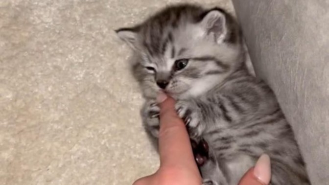 Isıra ısıra sevmek istediğiniz biri var mı?
