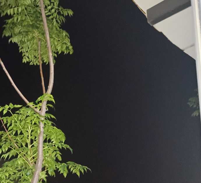 En son hangi fotoyu çektiniz gösterin bakam?