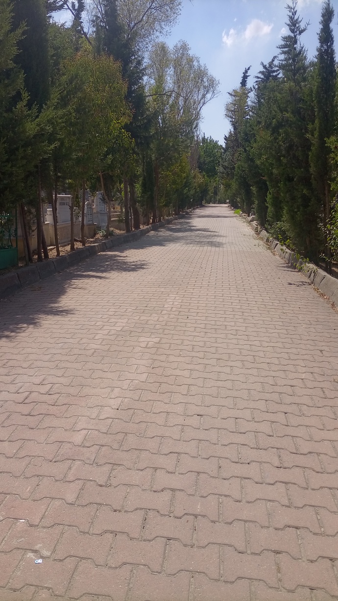 En son hangi fotoyu çektiniz gösterin bakam?