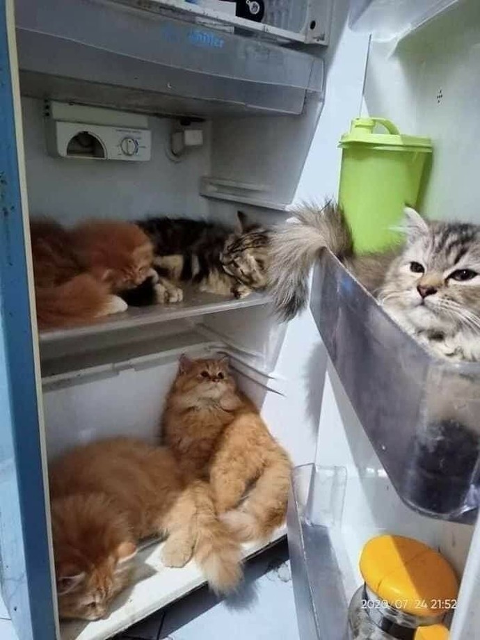Dolabimin içi nasıl?