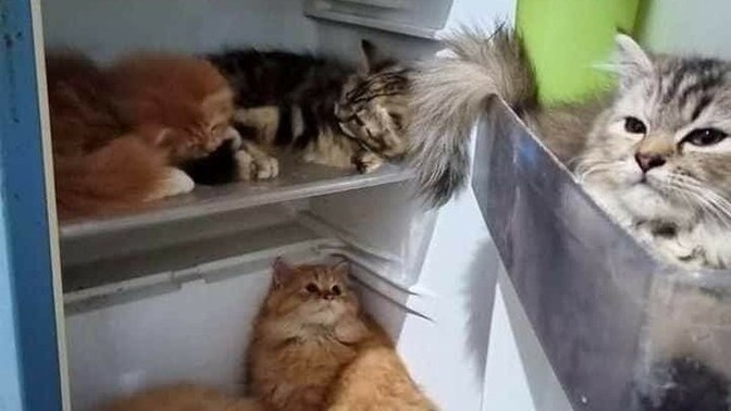 Dolabimin içi nasıl?