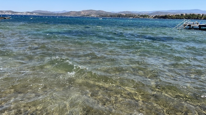 Havuz mu 💦 deniz mi 😂🌊?