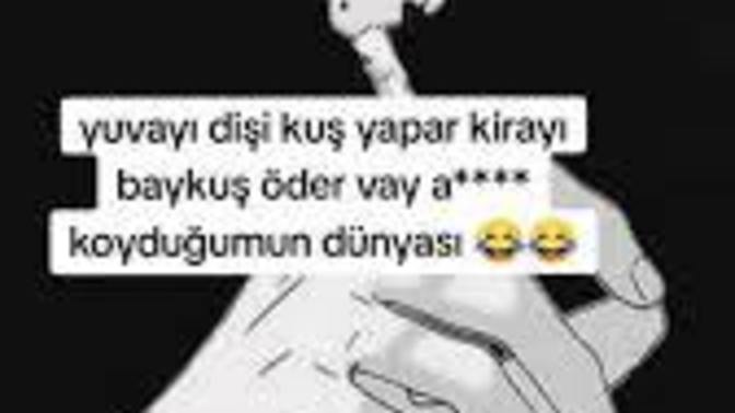 Sizce evin reisi kimdir?