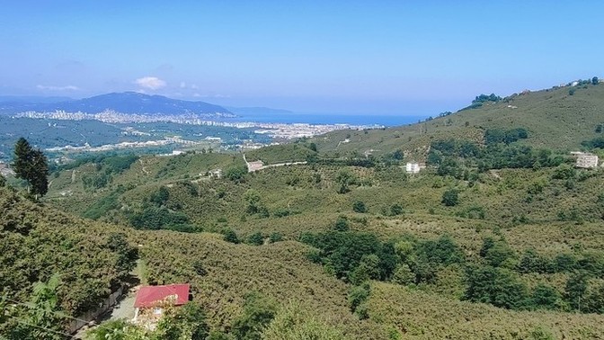 Bu sıkıcı günde neler yapıyorsunuz?