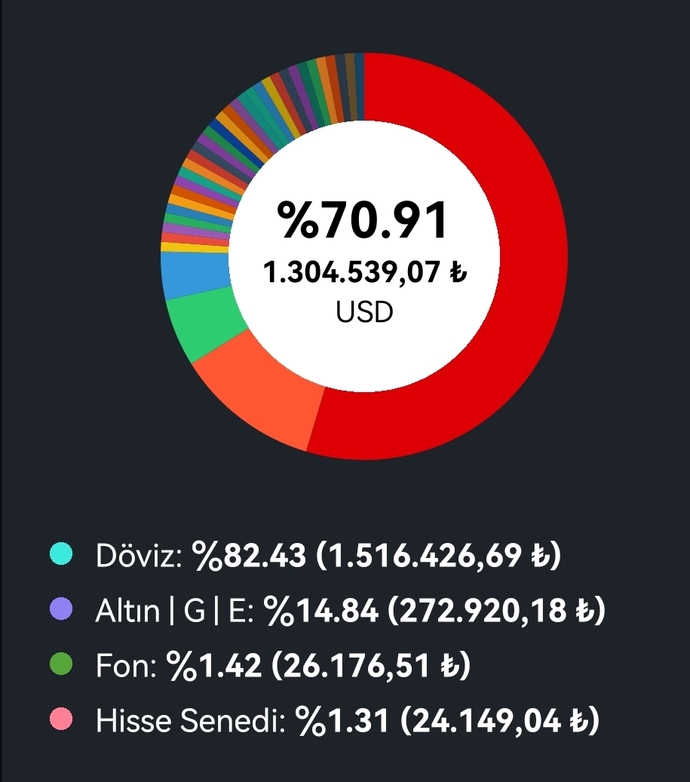 Kaç bin liralık portföy taşıyorsunuz?