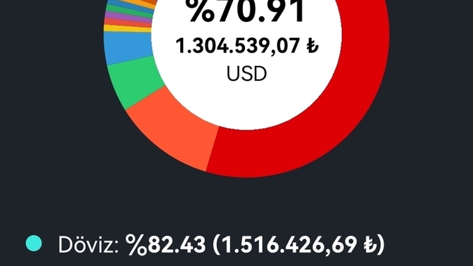 Kaç bin liralık portföy taşıyorsunuz?