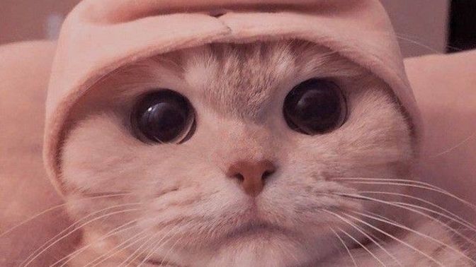 Sevgiliniz her gittiği yeri size haber vermeli mi?