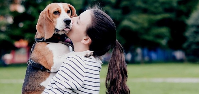 Köpeğinizi ne sıklıkla dışarı çıkarırsınız?