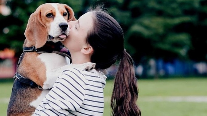 Köpeğinizi ne sıklıkla dışarı çıkarırsınız?