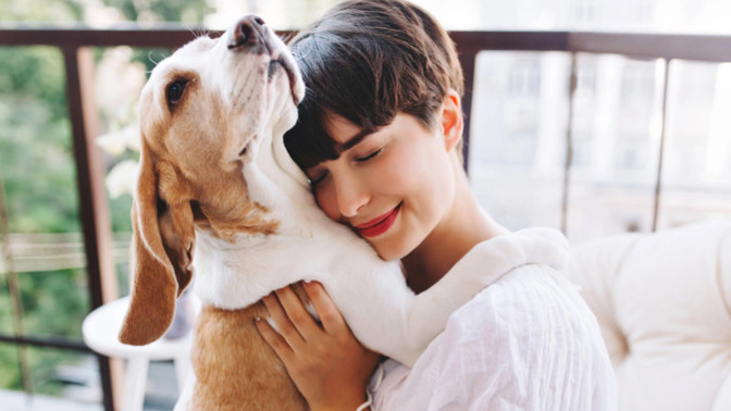 Köpek sahibi olmanın en güzel yanı sizce nedir?