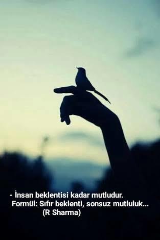 Mükemmele ulaşmak mutluluğu bitirir mi?