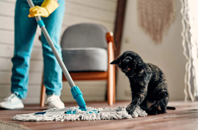 Elektrik süpürgesi mi yoksa mop mu daha etkili? Hangisini daha sık kullanıyorsun?
