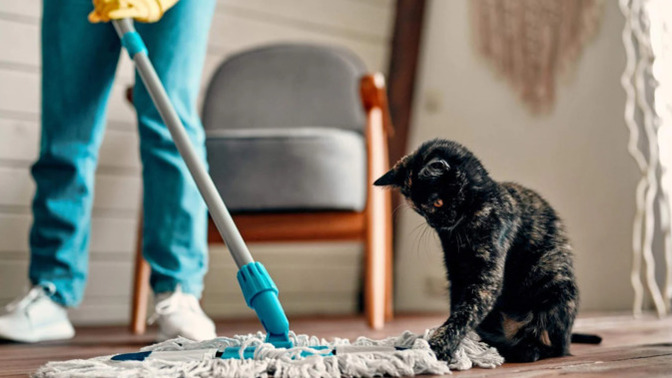 Elektrik süpürgesi mi yoksa mop mu daha etkili? Hangisini daha sık kullanıyorsun?