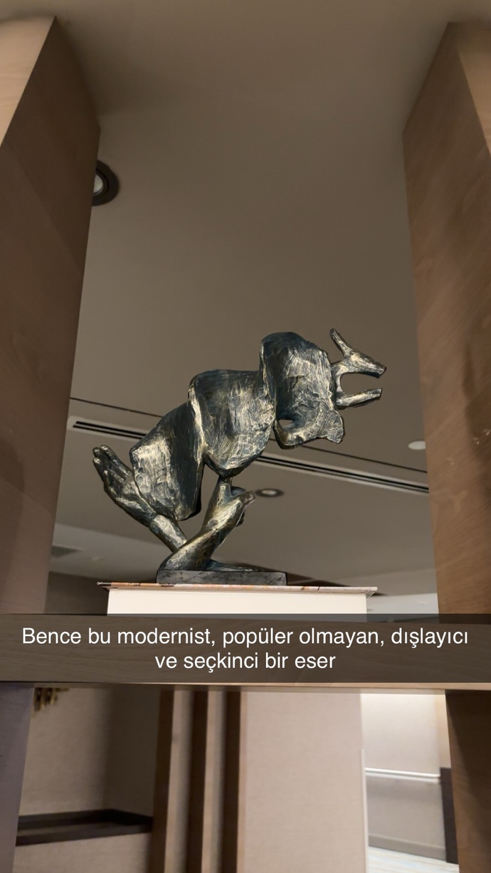 Siz Fotoğrafta Neler Görüyorsunuz?