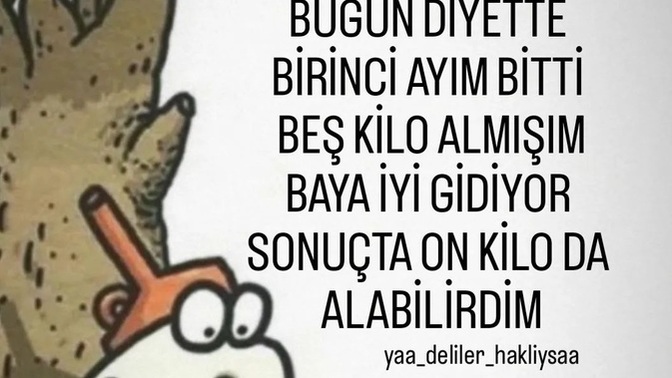 Diyetle araniz nasil 🙃?