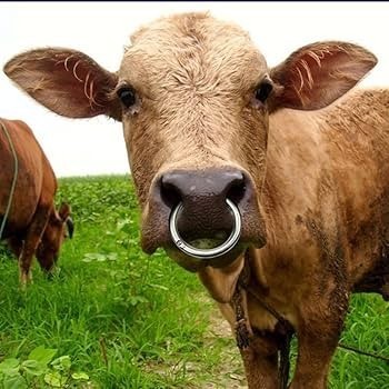 Bu Piercing Denen Şey Hakkında Ne Düşünüyorsunuz?
