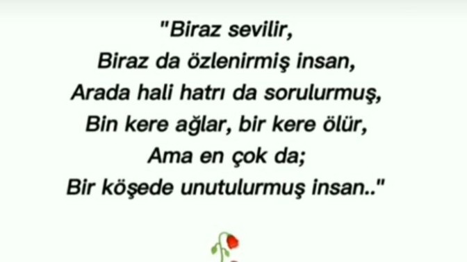 Geceye bir şiir bırakalım mı?