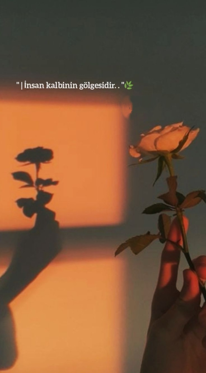 İnsanları kırmamak için doğru bildiğin şeyi söylemekten vazgeçer misin?